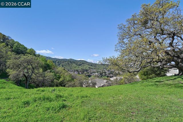 539 High Eagle Ct, Walnut Creek, CA 94595