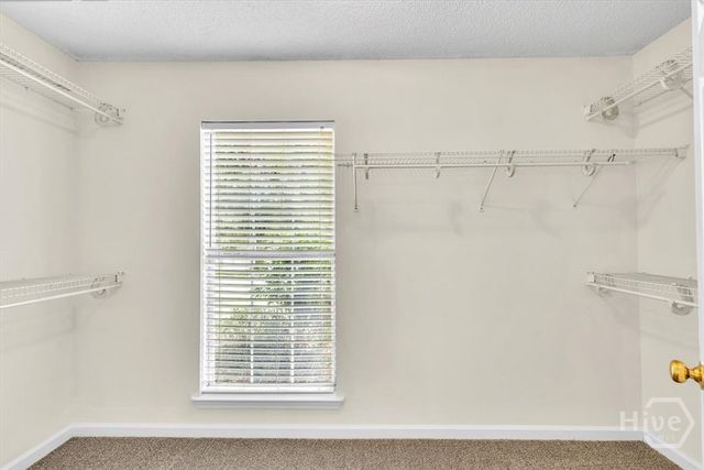 176 Shady Oak Circle, Richmond Hill, GA 31324