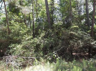 0 Warbler, Hempstead, TX 77445