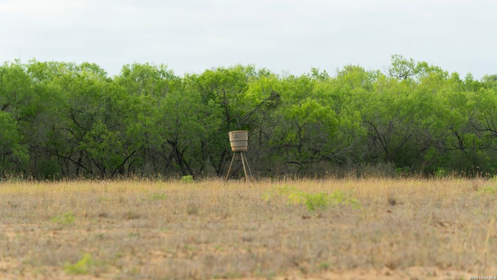 872 RODRIGUEZ, Pleasanton, TX 78064