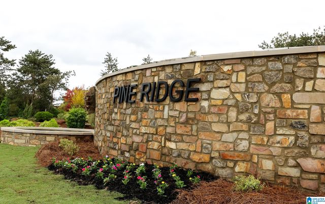 415 PINE RIDGE DRIVE, Odenville, AL 35120