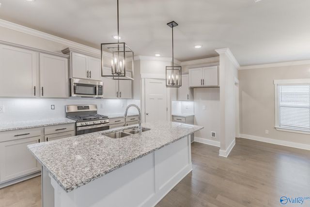 103 Pecos River Road, Madison, AL 35756