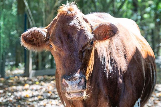 1927 Highway 16 E, Jackson, GA 30233