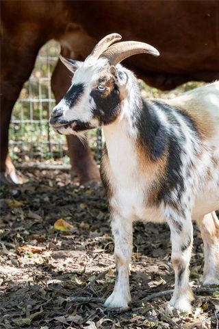 1927 Highway 16 E, Jackson, GA 30233