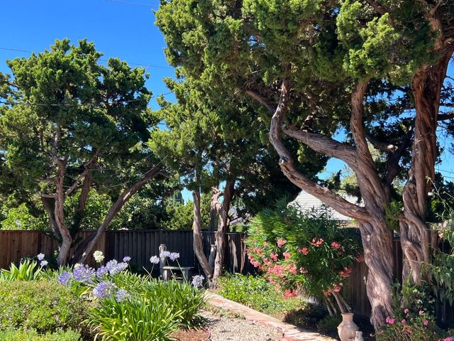 3388 Picadilly Drive, San Jose, CA 95118