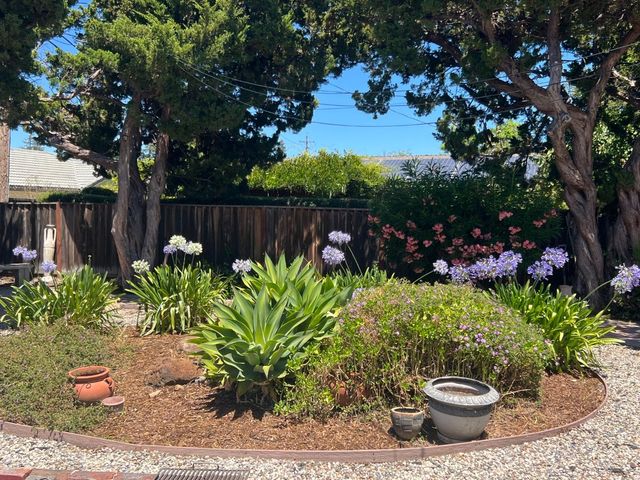 3388 Picadilly Drive, San Jose, CA 95118