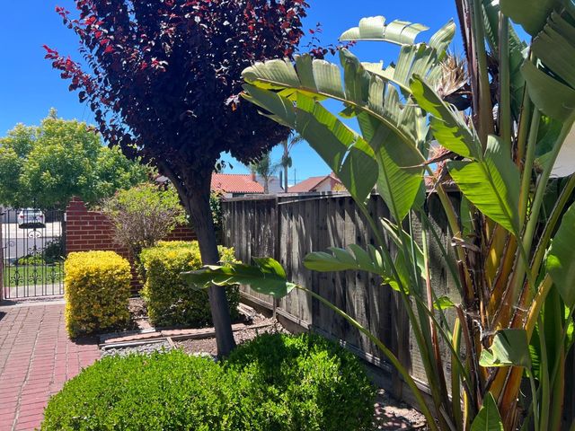 3388 Picadilly Drive, San Jose, CA 95118
