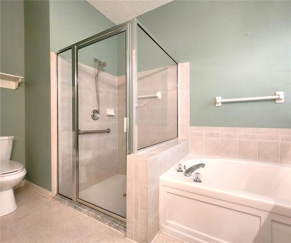 10232 GRANT CREEK DRIVE, Tampa, FL 33647