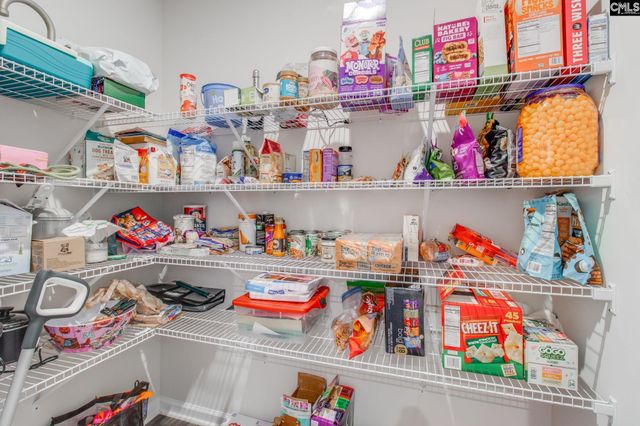 128 Coppersmith Drive, Lexington, SC 29073