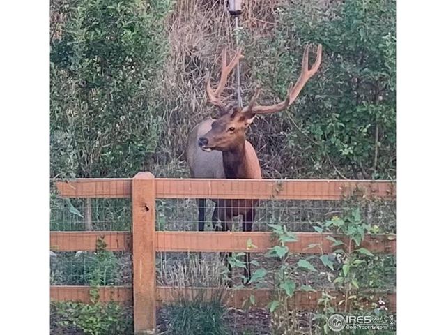 629 Deer Meadow Dr, Loveland, CO 80537