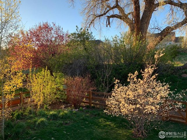 629 Deer Meadow Dr, Loveland, CO 80537