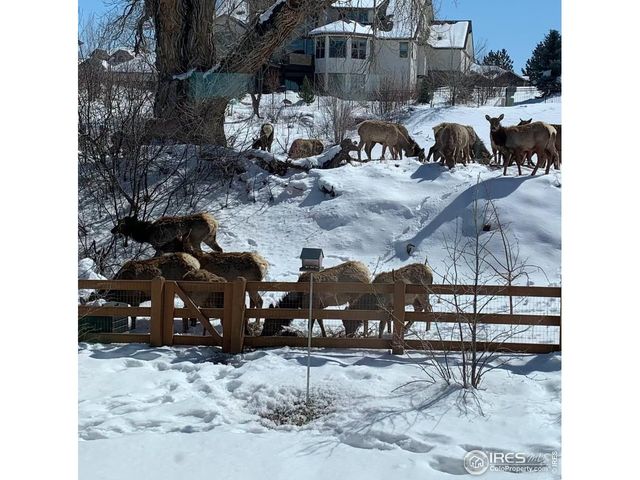 629 Deer Meadow Dr, Loveland, CO 80537