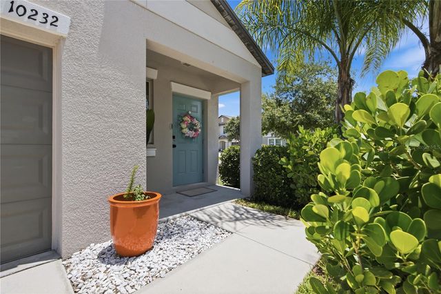 10232 COOL WATERLILY AVENUE, Riverview, FL 33578