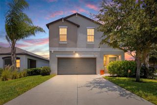 10232 COOL WATERLILY AVENUE, Riverview, FL 33578