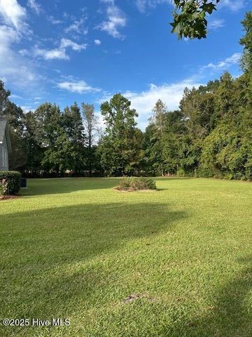 2093 Burney Ford Road, Clarkton, NC 28433