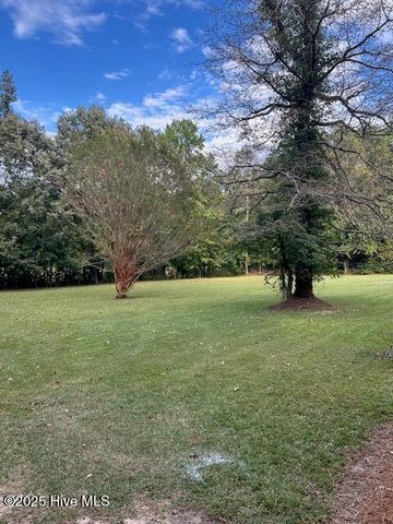 2093 Burney Ford Road, Clarkton, NC 28433