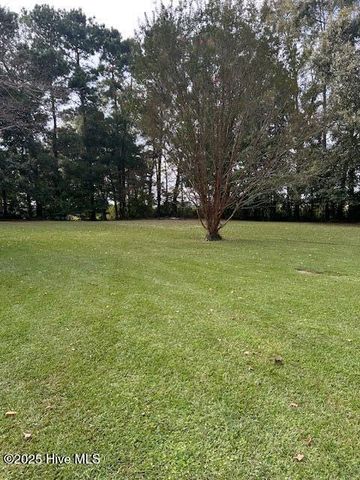 2093 Burney Ford Road, Clarkton, NC 28433