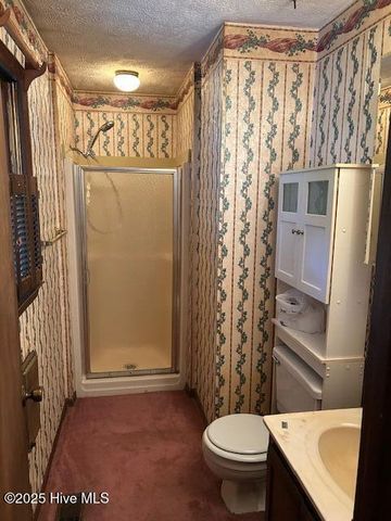 2093 Burney Ford Road, Clarkton, NC 28433