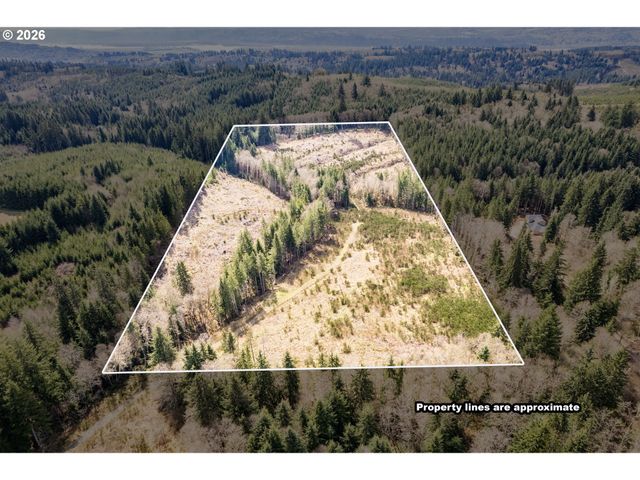 1319 Eufaula Heights Rd, Longview, WA 98632