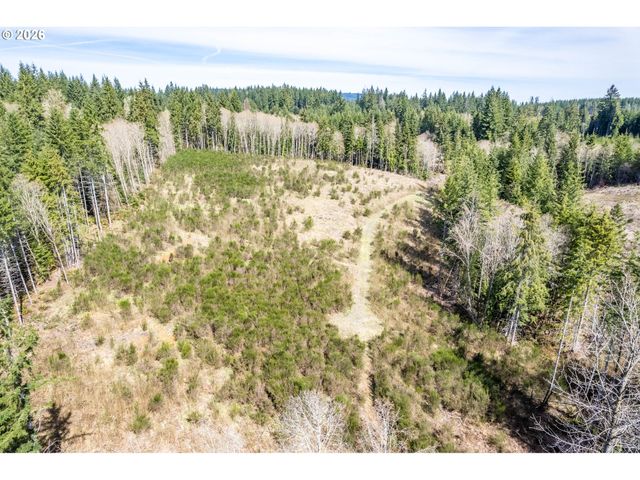 1319 Eufaula Heights Rd, Longview, WA 98632