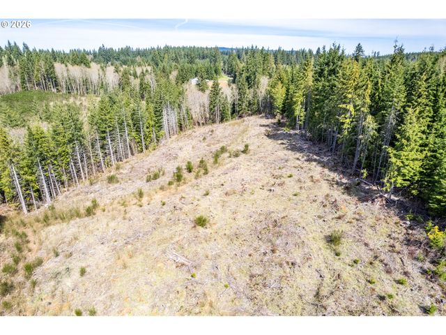 1319 Eufaula Heights Rd, Longview, WA 98632