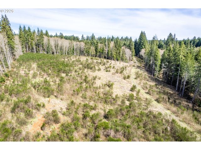 1319 Eufaula Heights Rd, Longview, WA 98632