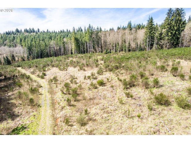 1319 Eufaula Heights Rd, Longview, WA 98632