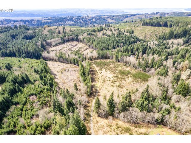 1319 Eufaula Heights Rd, Longview, WA 98632