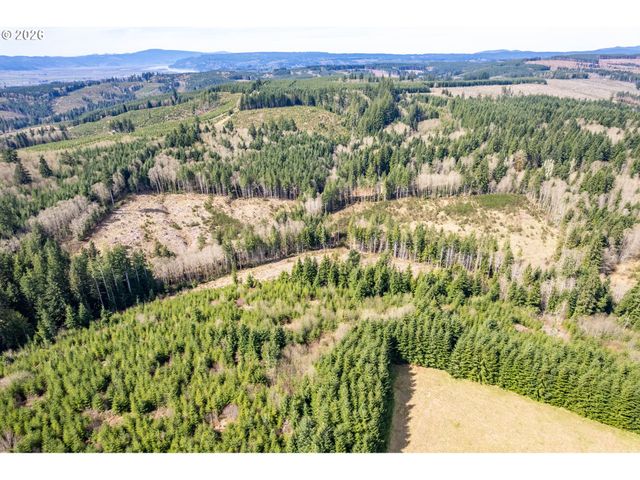 1319 Eufaula Heights Rd, Longview, WA 98632