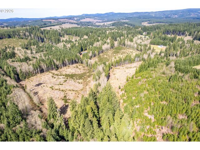 1319 Eufaula Heights Rd, Longview, WA 98632