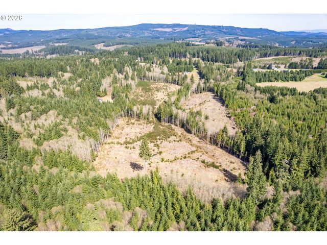 1319 Eufaula Heights Rd, Longview, WA 98632