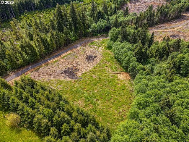 1319 Eufaula Heights Rd, Longview, WA 98632