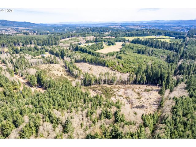 1319 Eufaula Heights Rd, Longview, WA 98632