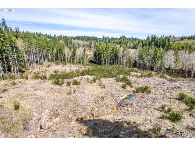 1319 Eufaula Heights Rd, Longview, WA 98632