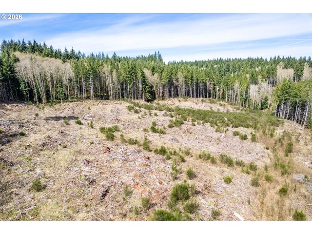 1319 Eufaula Heights Rd, Longview, WA 98632