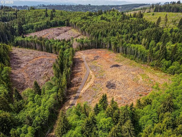 1319 Eufaula Heights Rd, Longview, WA 98632