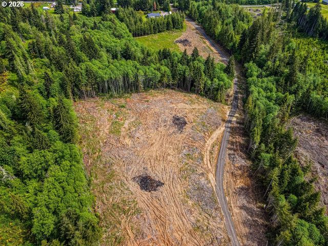 1319 Eufaula Heights Rd, Longview, WA 98632