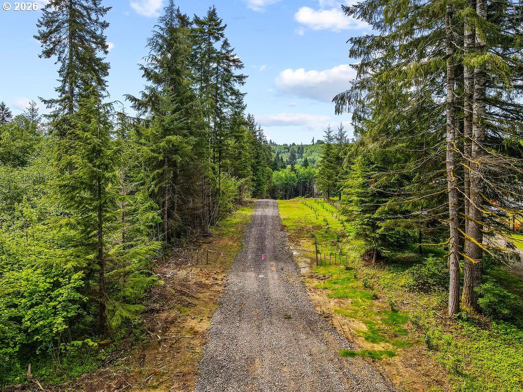 1319 Eufaula Heights Rd, Longview, WA 98632