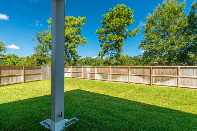 511 Water Ash Court, Montgomery, TX 77316