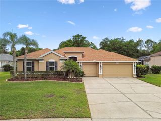 19106 BECKETT DRIVE, Odessa, FL 33556