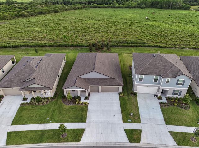 11824 BLUE DIAMOND TRAIL, Parrish, FL 34219