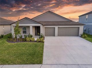 11824 BLUE DIAMOND TRAIL, Parrish, FL 34219