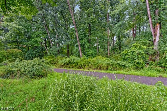 8 Mansfield Ct, Mendham Boro, NJ 07945