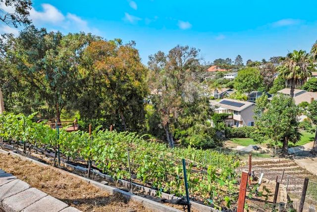 1020 Nolbey St, Cardiff By The Sea, CA 92007