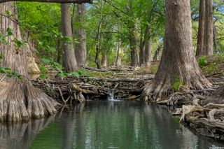 608 N CREEK RD, Comfort, TX 78013