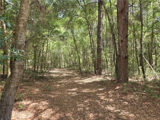 11953 N GLENVIEW AVENUE, Dunnellon, FL 34434