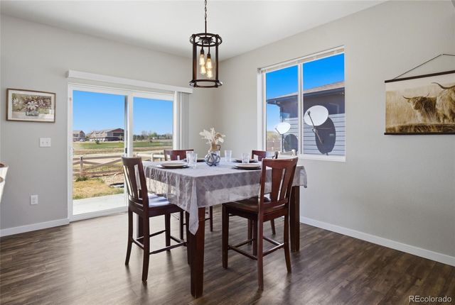 7263 Horsechestnut Street, Wellington, CO 80549