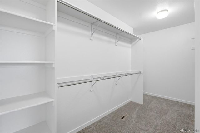 7263 Horsechestnut Street, Wellington, CO 80549