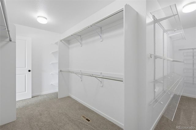 7263 Horsechestnut Street, Wellington, CO 80549