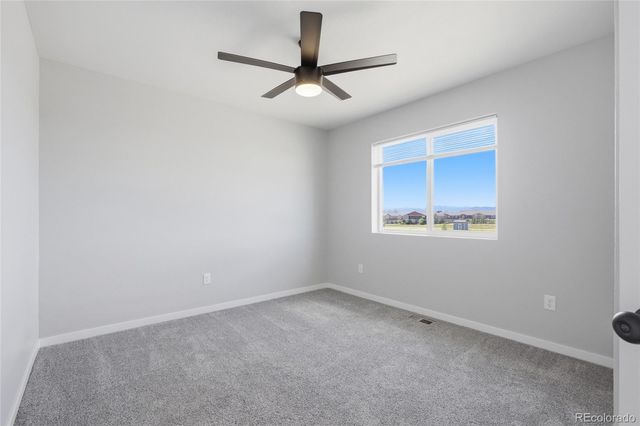 7263 Horsechestnut Street, Wellington, CO 80549